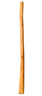 Ironbark Didgeridoo (IB286)